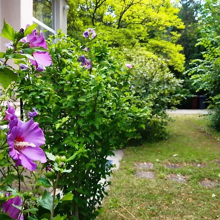 Pension Villa Inge-3
